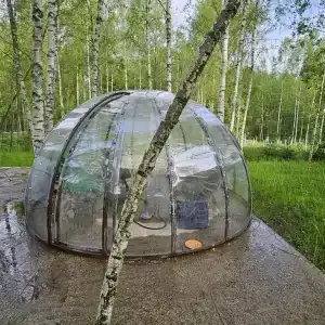 В гостях у леса - 59