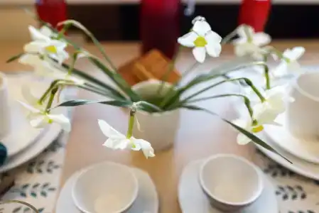 Family Apart у Кремля - 36