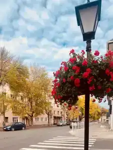 Квартиры на Некрасова 4 - 98