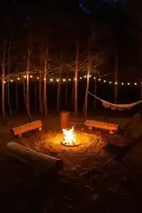 О, Дни в Лесу - 2