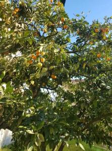 Квартиры на Цветочной 34 - 19