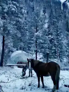 Шатер купольный в горах - 2