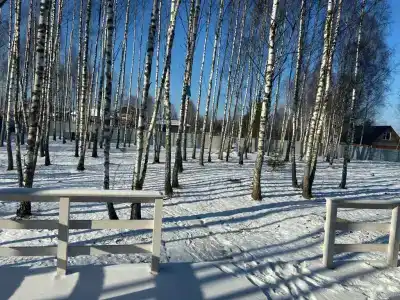 Каникулы - 32