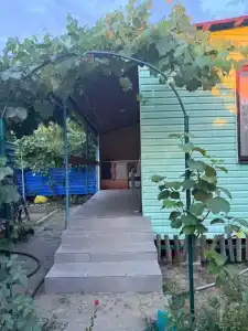СильВио - 27