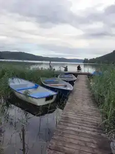 Сова у ручья - 23