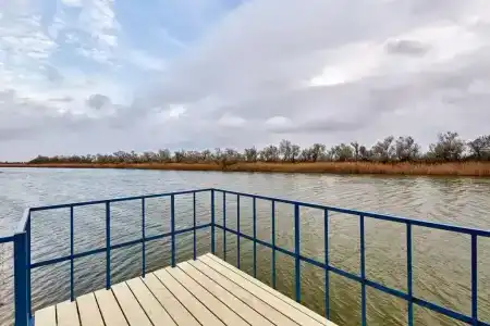 Ботаники - 121