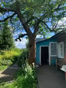 Частный дом для туристов - 4