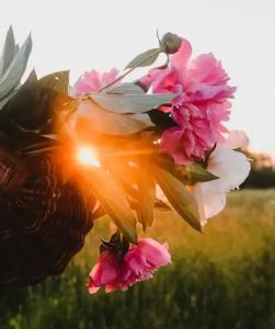 Уютный Двухэтажный коттедж с шикарной Баней на дровах - 39