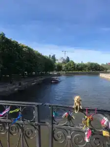 Квартиры на Богдана Хмельницкого 25 - 31