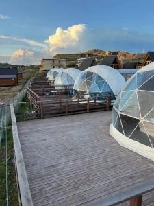 Аквариум - 103