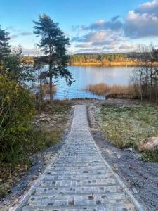 на берегу Ладоги - 10