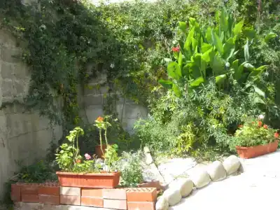 Прохлада - 14