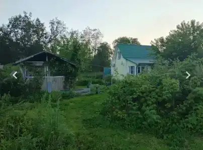 Бобер и Соловьи - 1