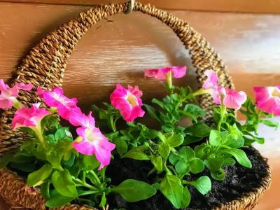 Уютный Двухэтажный коттедж с шикарной Баней на дровах - 26