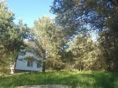 Хитрый Лис - 75