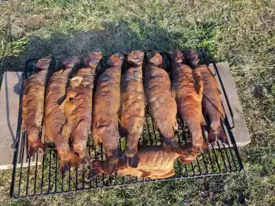 Снетковское Озеро - 150