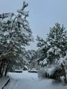 Дом на берегу реки с баней на дровах в Шилово - 39