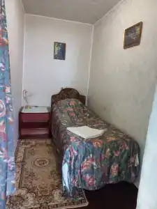 Буревестник - 5