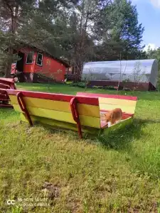 Рыжий кот - 40