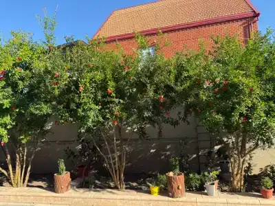 Просторный дом со всеми удобствами - 14