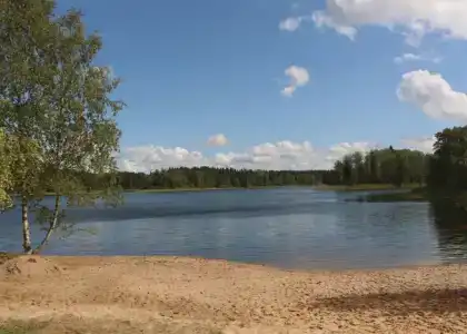 Селигер Светозар - 1