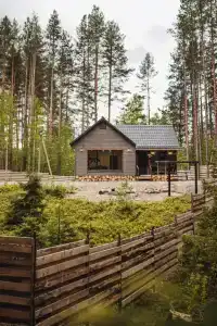 Лес и Склон - 0