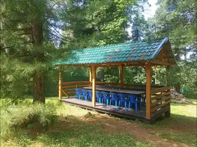 Кедровая поляна - 12