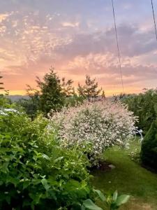 Уютный домик с видом на музей - 25