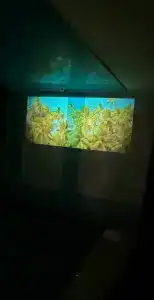 Фаниполь - 15
