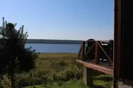 ПиКниКи - 26