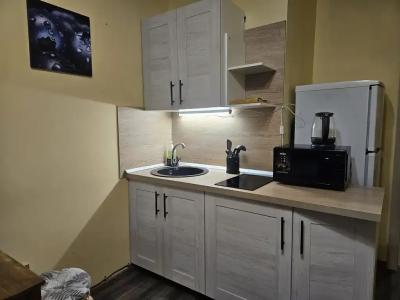 Квартиры на Авиаторов Балтики 11/1 - 49