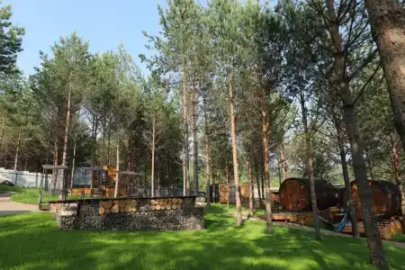 Манский фрейм - 109