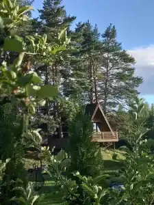 Дом под соснами - 2