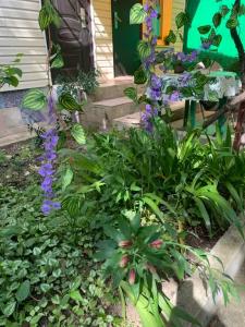 Жемчужина у моря - 10