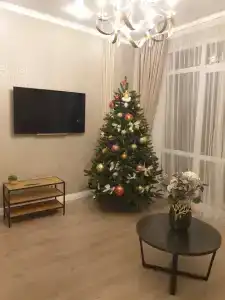 Квартиры на Профессора Севастьянова 22 - 16