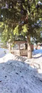 Домик у леса - 7