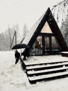 Дом A-frame с баней и купелью в сосновом лесу - 28