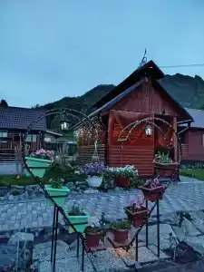 Счастливый случай - 72