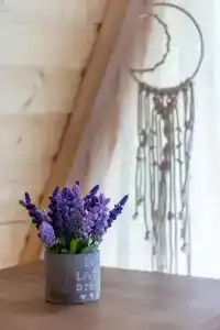 Рай в шалаше - 196