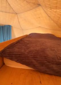 Аквариум - 136