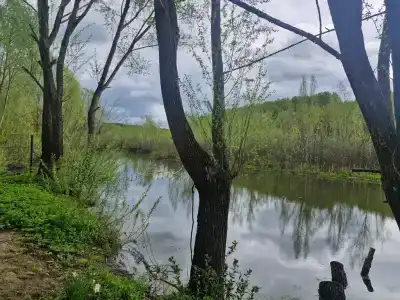 Дом с видом на лес и озеро с баней в Воронино - 47
