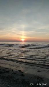 Ракушка Казантипа - 6