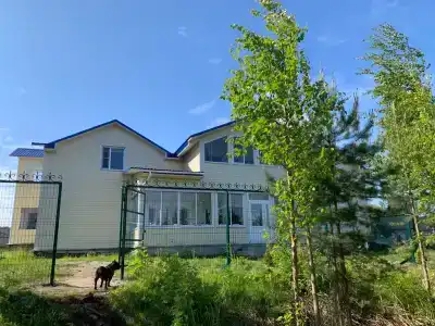 Коди Ярви - 132