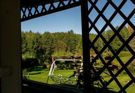 Боровики - 13