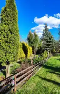 Поместье-Park на Стрелке - 53
