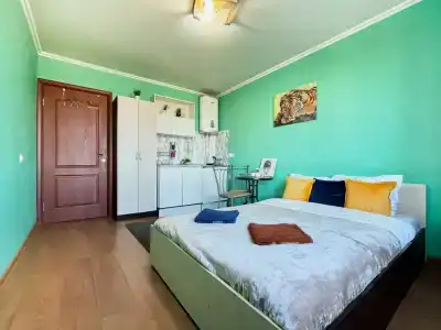 Уютная студия! - 15