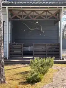 Шале в сосновом бору - 0