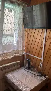 Золотой мустанг - 40