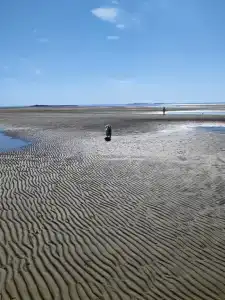 Гостевой дом на берегу Белого моря - 1