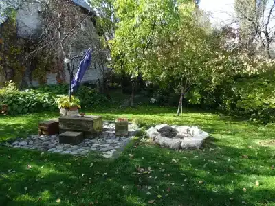 Дом с орехом во дворе - 11